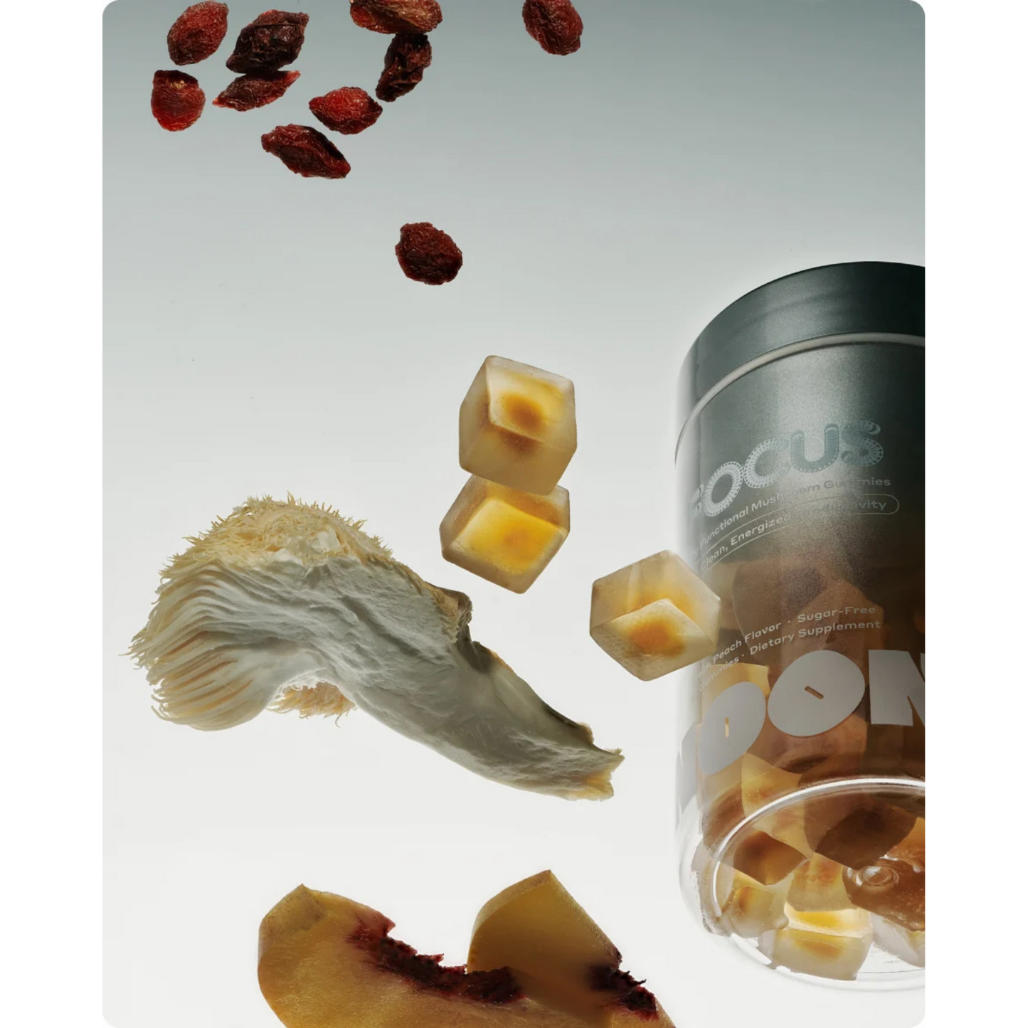 Focus Mushroom Gummy Delights