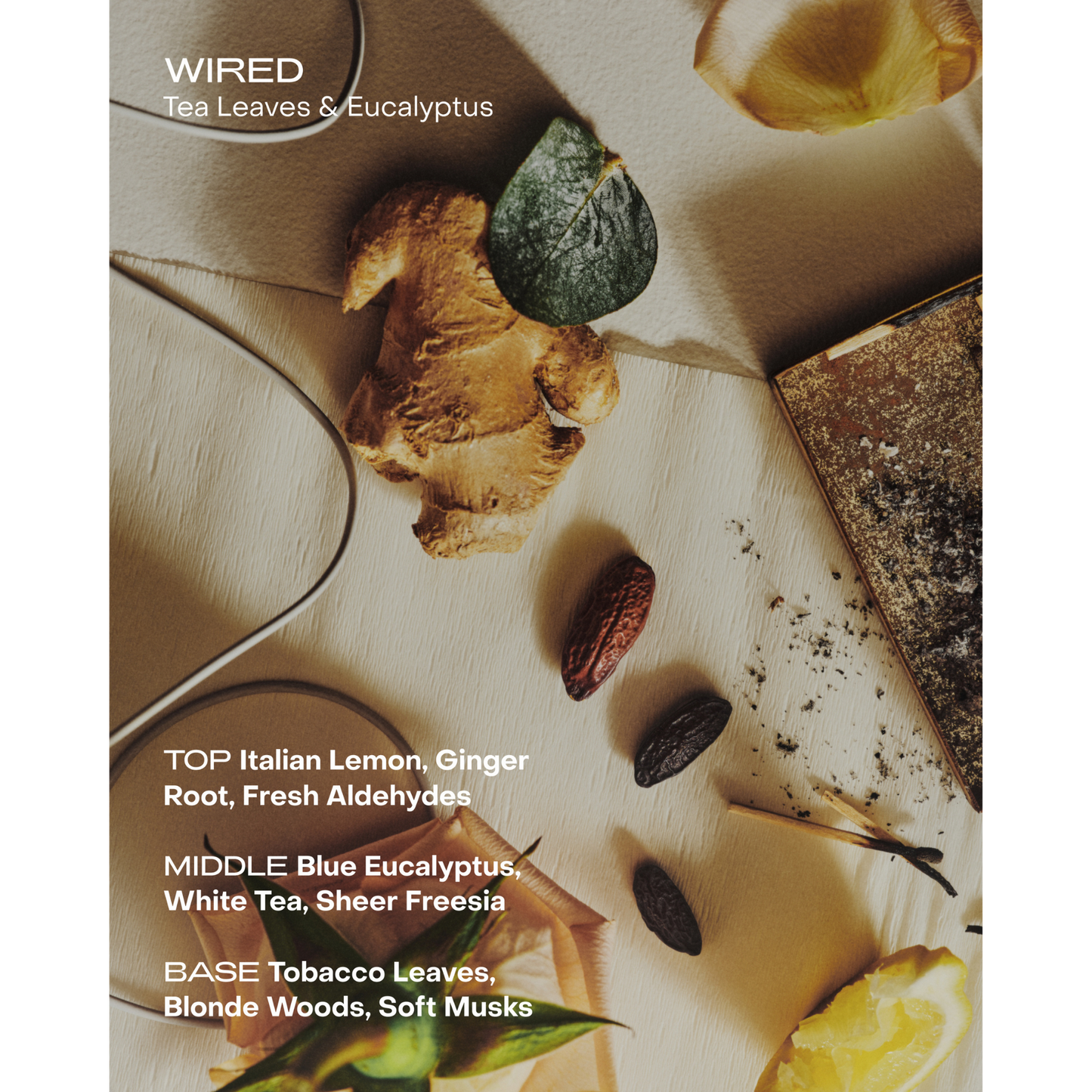 Wired: The Body Serum