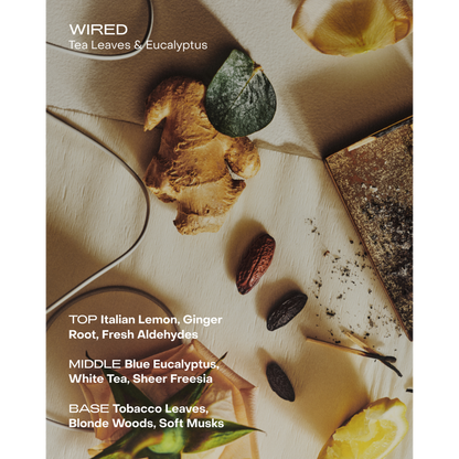 Wired: The Body Serum