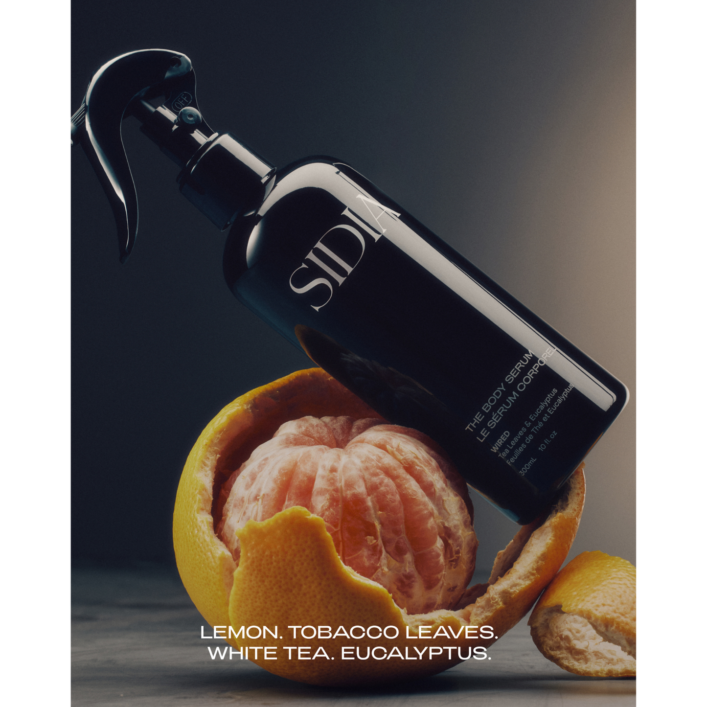 Wired: The Body Serum