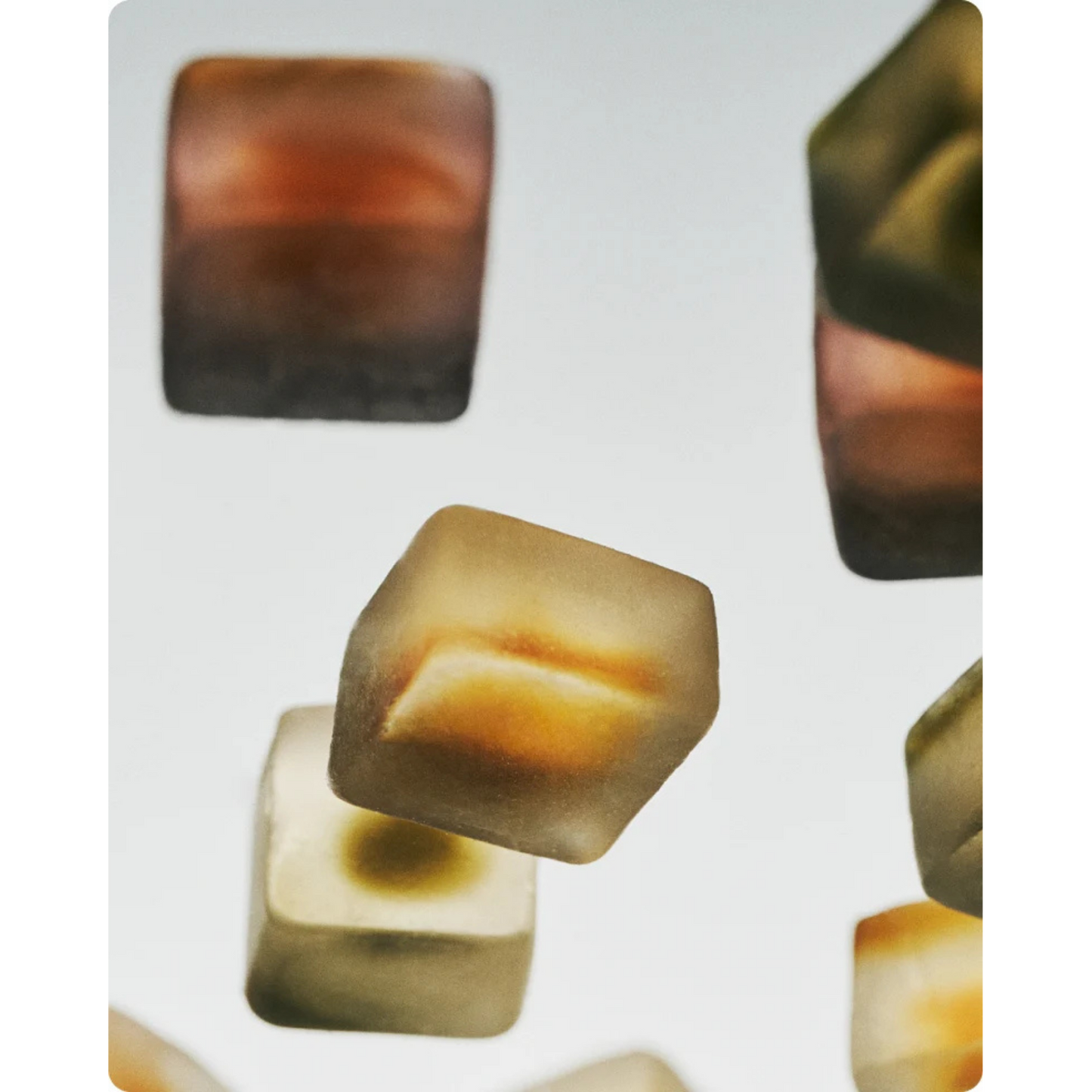 Sleep Mushroom Gummy Delights