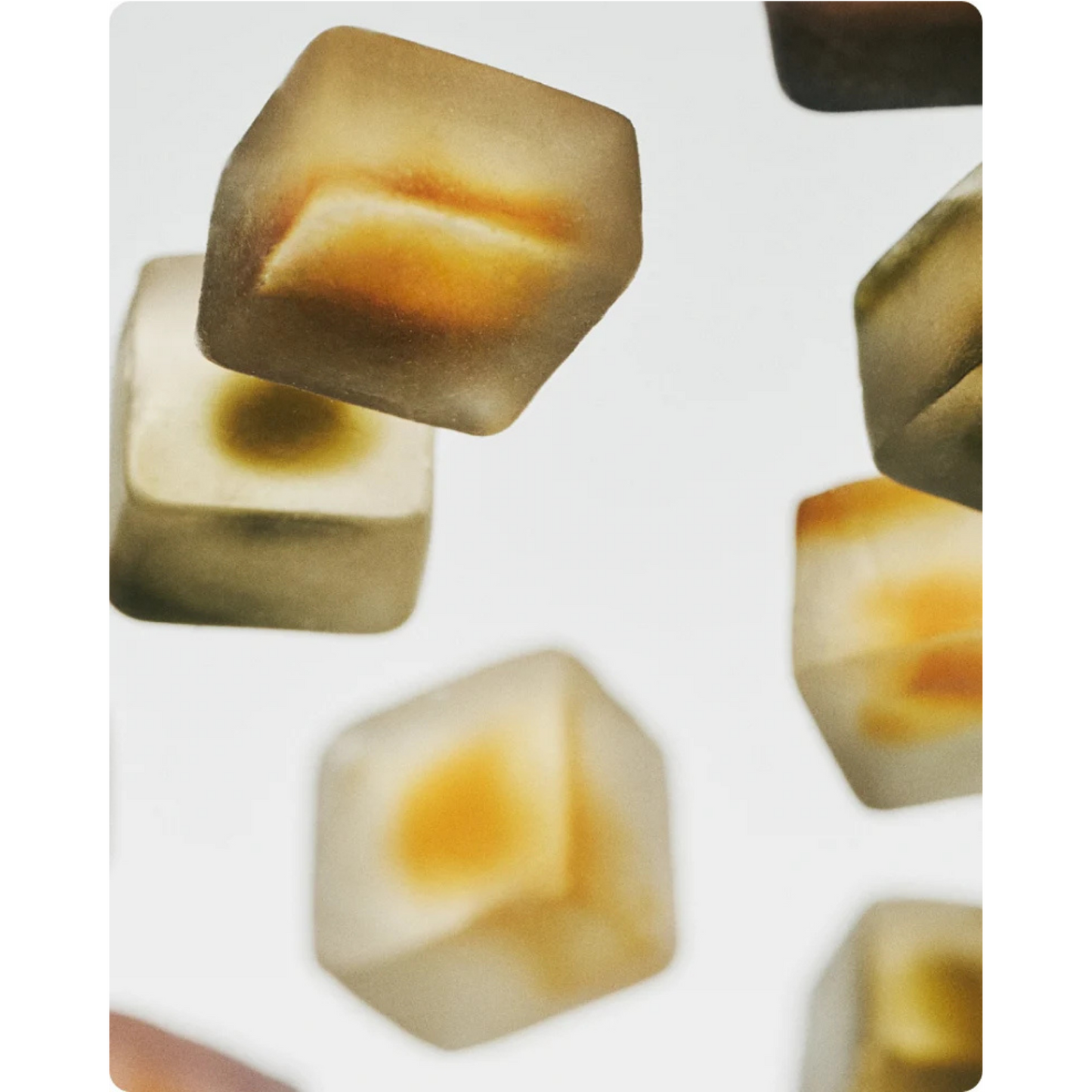 Focus Mushroom Gummy Delights